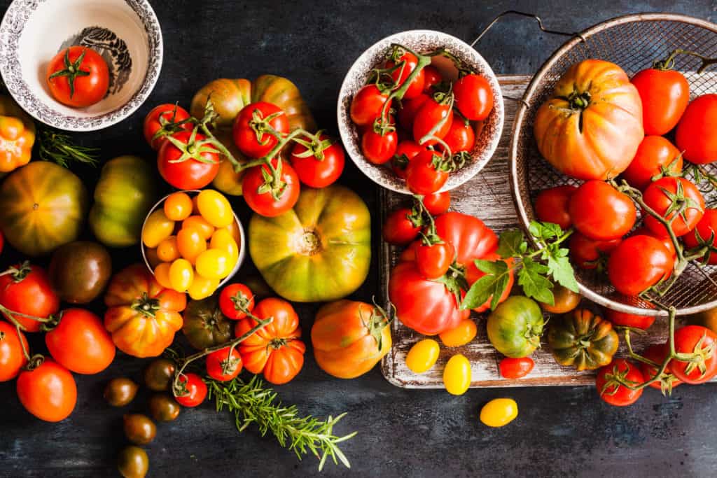 Cultiver des tomates dans des plates-bandes surélevées : tout ce que vous devez savoir