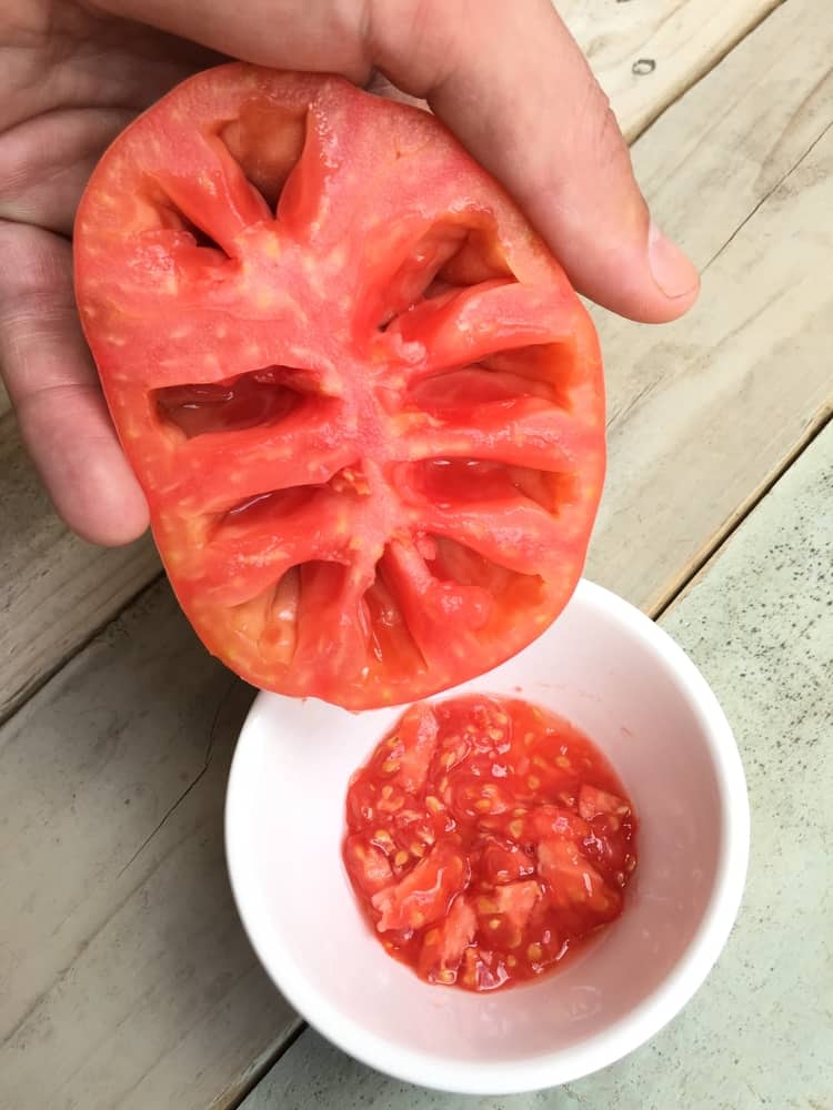 Pouvez-vous faire pousser des plants de tomates à partir d&rsquo;une tomate en tranches?