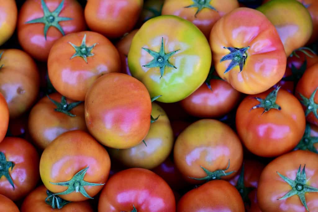 Comment et quand cueillir des tomates (probablement pas quand vous pensez)