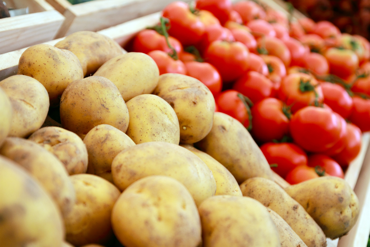 Comment planter des tomates et des pommes de terre ensemble (sans ruiner votre récolte)