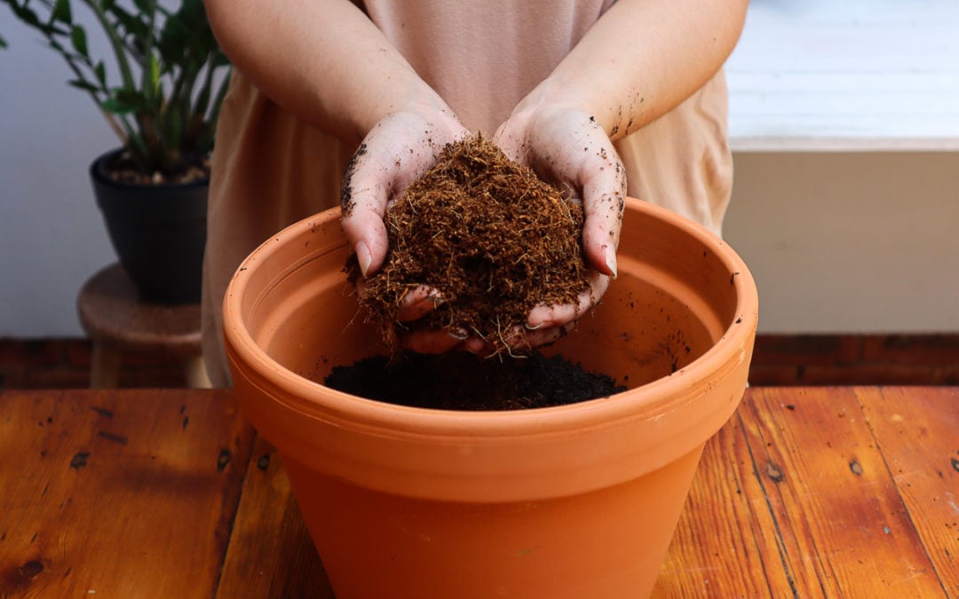 The Perfect Potting Soil Mix For Growing Tomatoes In Pots Tomato Bible