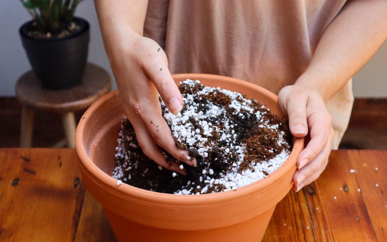 The Perfect Potting Soil Mix For Growing Tomatoes In Pots Tomato Bible