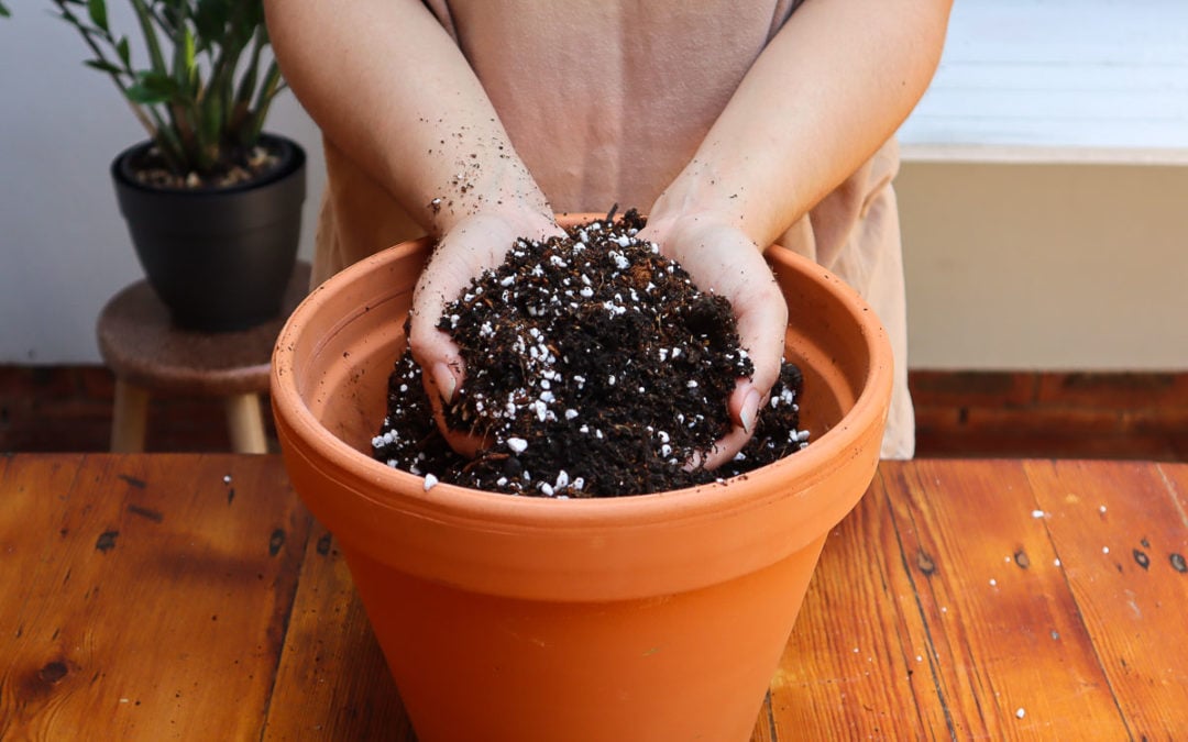 The Perfect Potting Soil Mix For Growing Tomatoes In Pots Tomato Bible