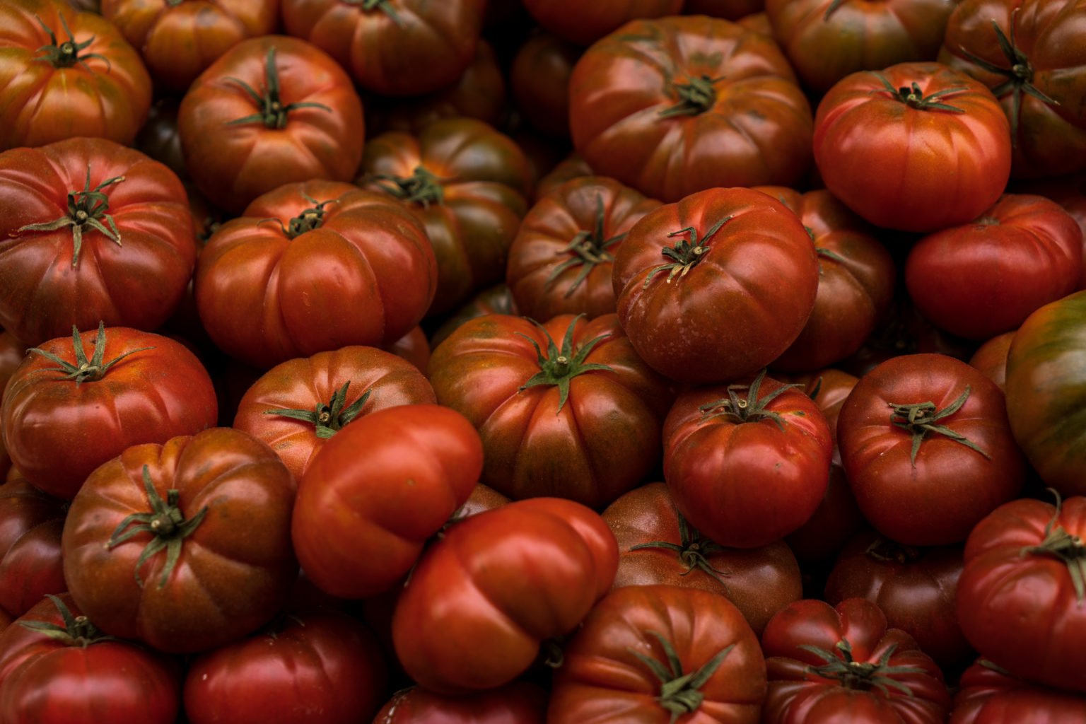 Cherokee Purple Tomato Profile & Grow Guide - Tomato Bible